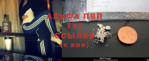 стаф Гусиноозёрск