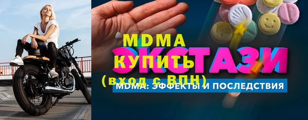 амф Гусев