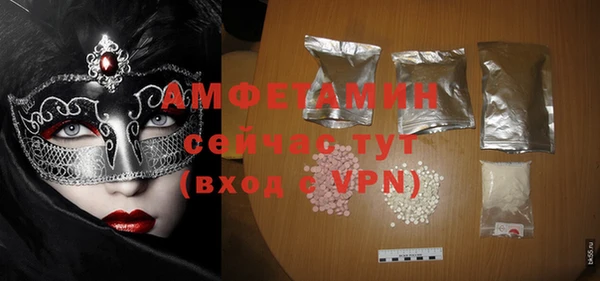 амф Гусев