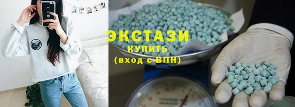 амф Гусев
