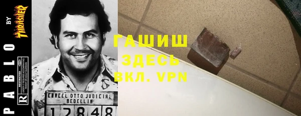 амф Гусев