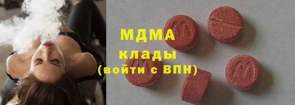 амф Гусев