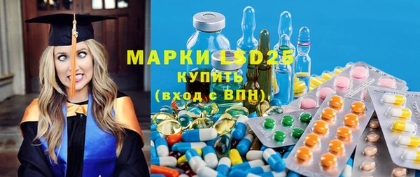 амф Гусев