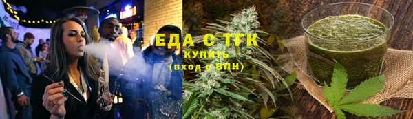 амф Гусев