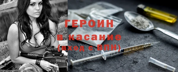 амф Гусев