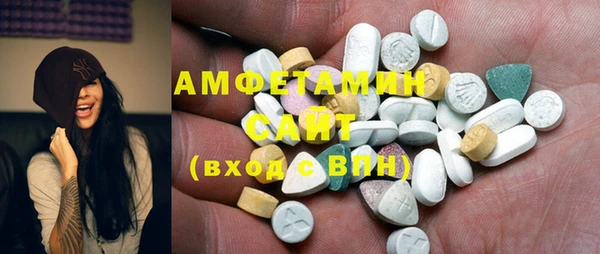 амф Гусев