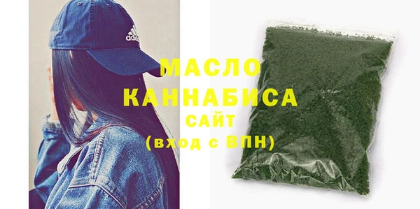 амф Гусев