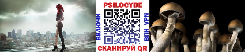 Галлюциногенные грибы MAGIC MUSHROOMS  где продают наркотики  Курган 